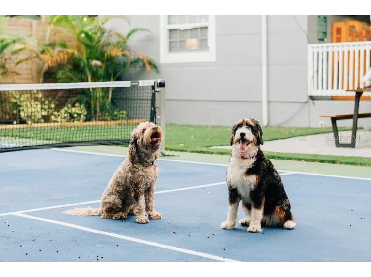 2705 N Oakdale Avenue Tampa FL 33602 TB8454795 image38