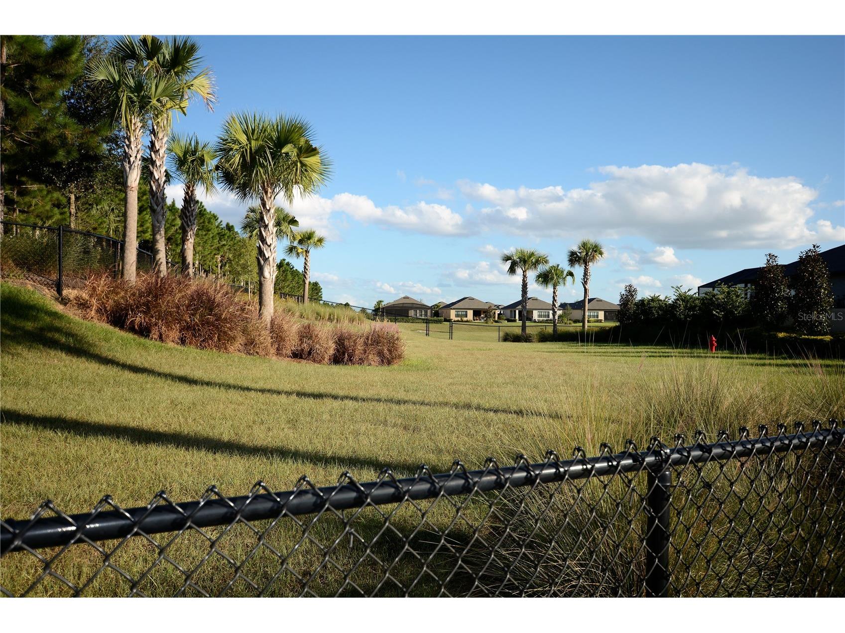 2705 Stargrass Circle Clermont FL 34715 O6404335 image67