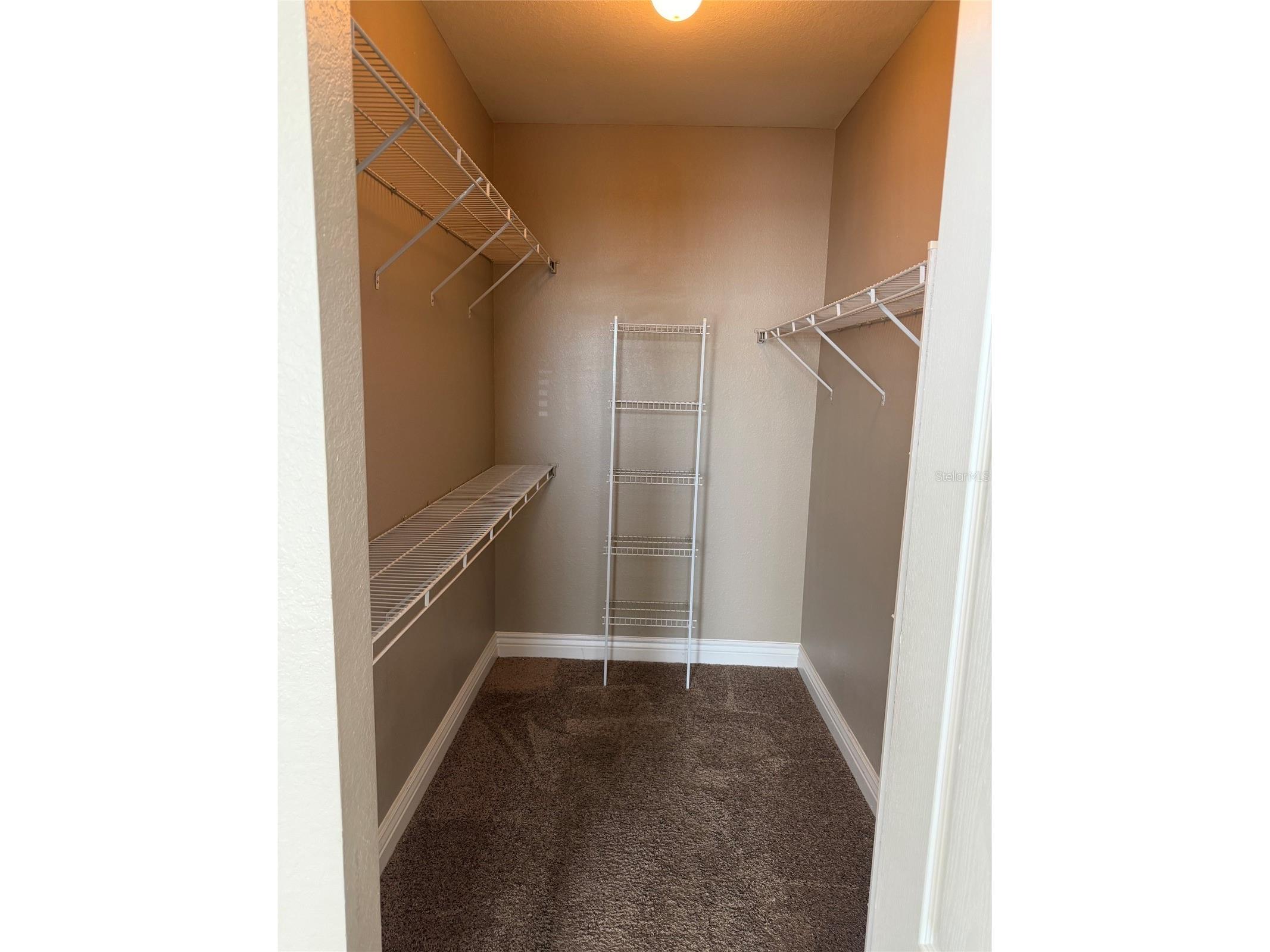 2705 Via Murano #121 Clearwater FL 33764 TB8525124 image14