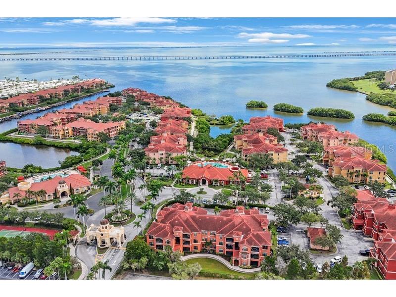 2705 Via Murano #125 Clearwater FL 33764 TB8431855 image26