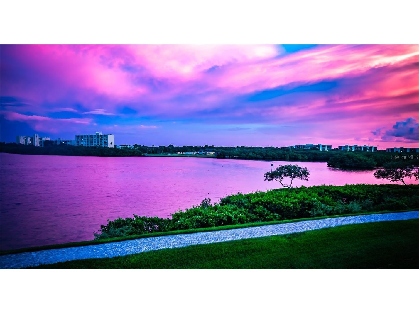 2705 Via Murano #125 Clearwater FL 33764 TB8431855 image39