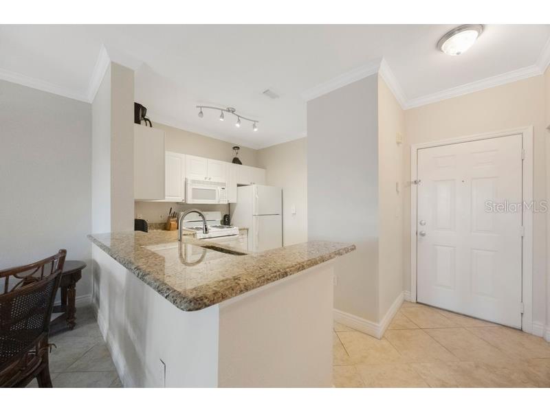 2705 Via Murano #125 Clearwater FL 33764 TB8431855 image5