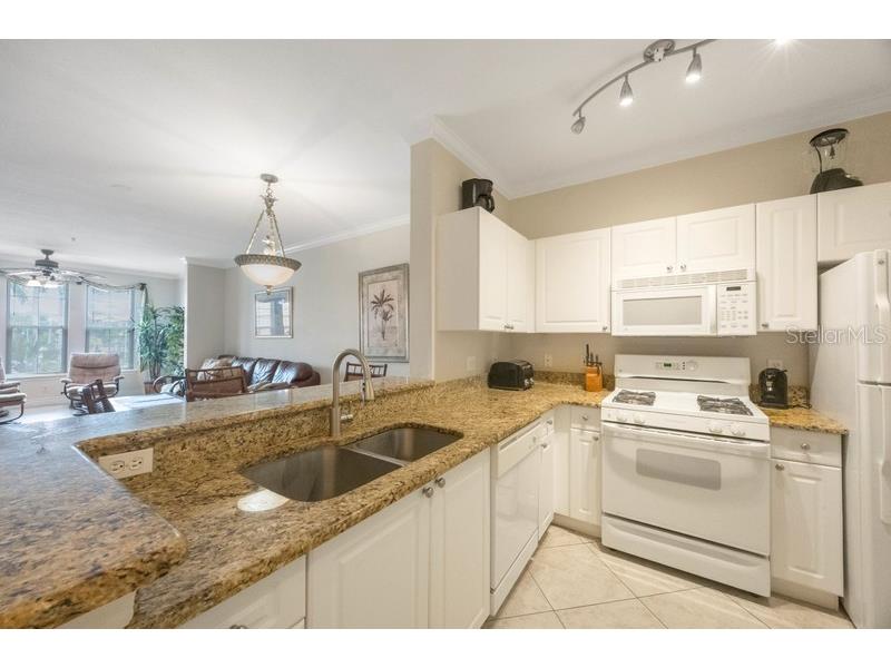 2705 Via Murano #125 Clearwater FL 33764 TB8431855 image8