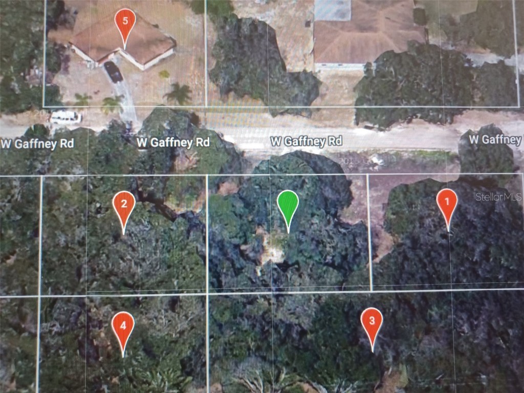 2705 W Gaffney Road Avon Park FL 33825 O6203793 image1