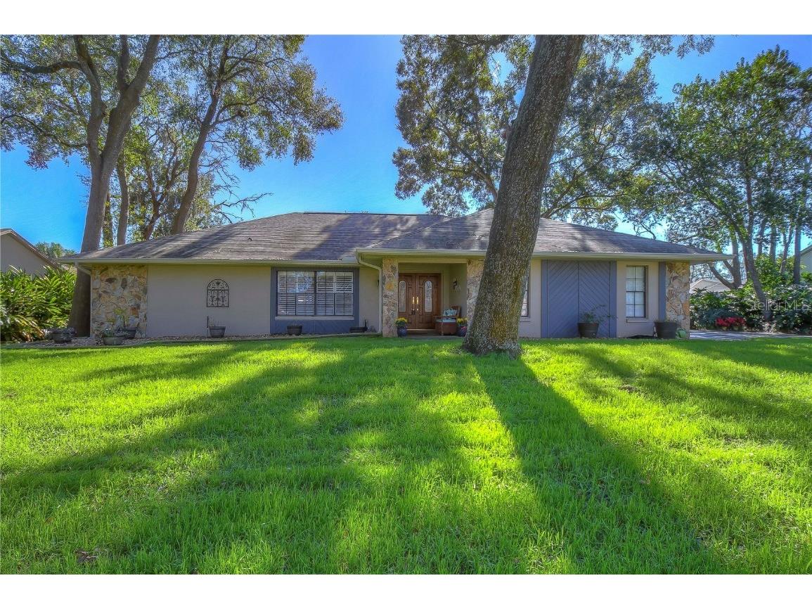 2705 Willow Oaks Drive Valrico FL 33594 T3416212 image1