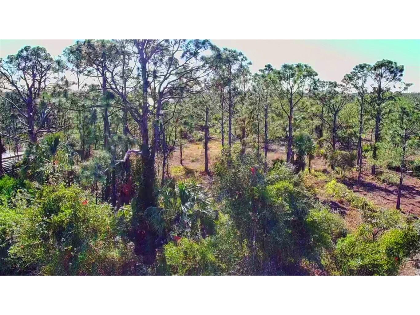 27051 Capistrano Drive Punta Gorda FL 33955 A4638217 image9