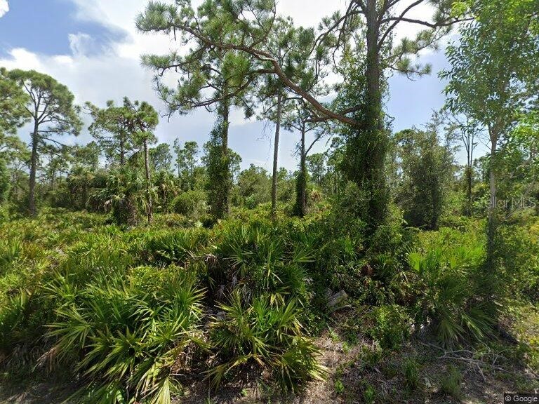 27051 Chamois Drive Punta Gorda FL 33955 O6166264 image1