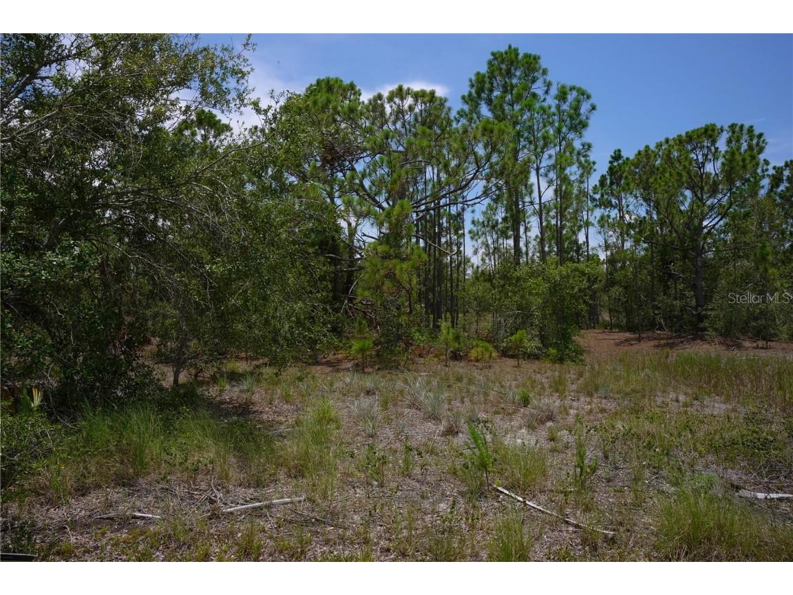 27051 Chula Vista Drive Punta Gorda FL 33955 C7477809 image1