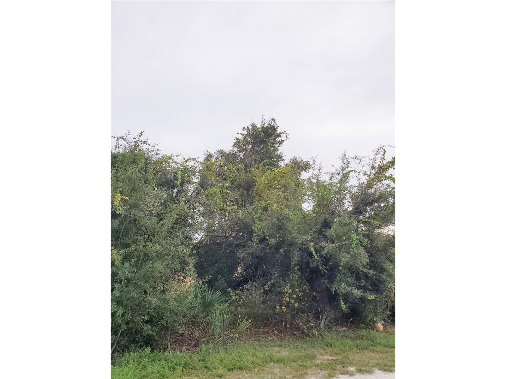 27053 Aloha Drive Punta Gorda FL 33955 C7485075 image1