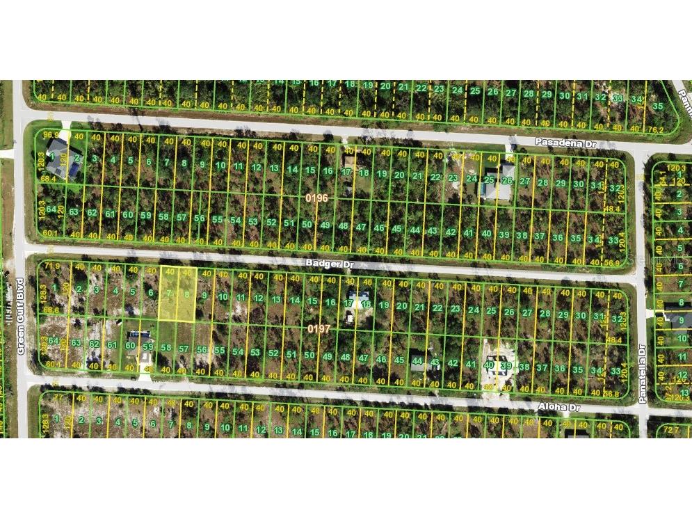 27053 Badger Drive Punta Gorda FL 33955 O6336269 image1