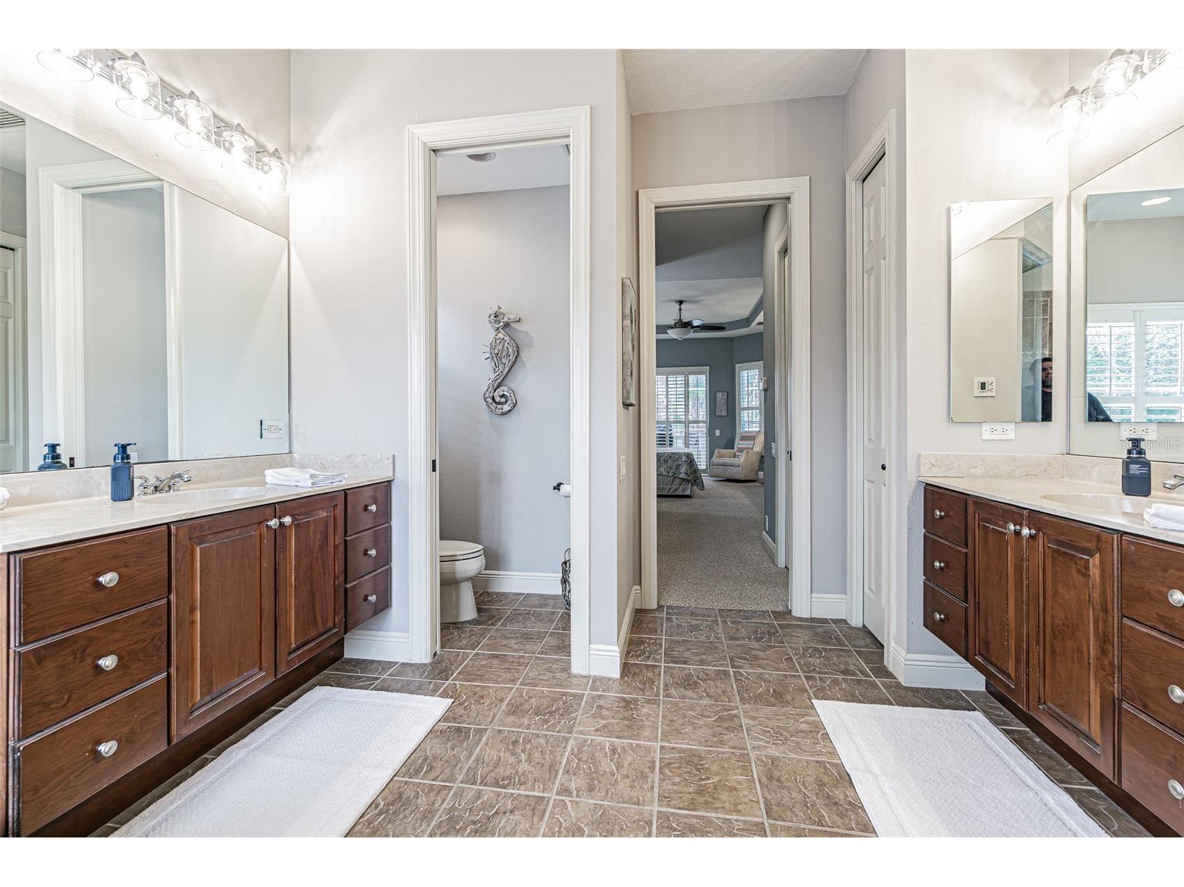 27053 Winged Elm Drive Wesley Chapel FL 33544 TB8494317 image20