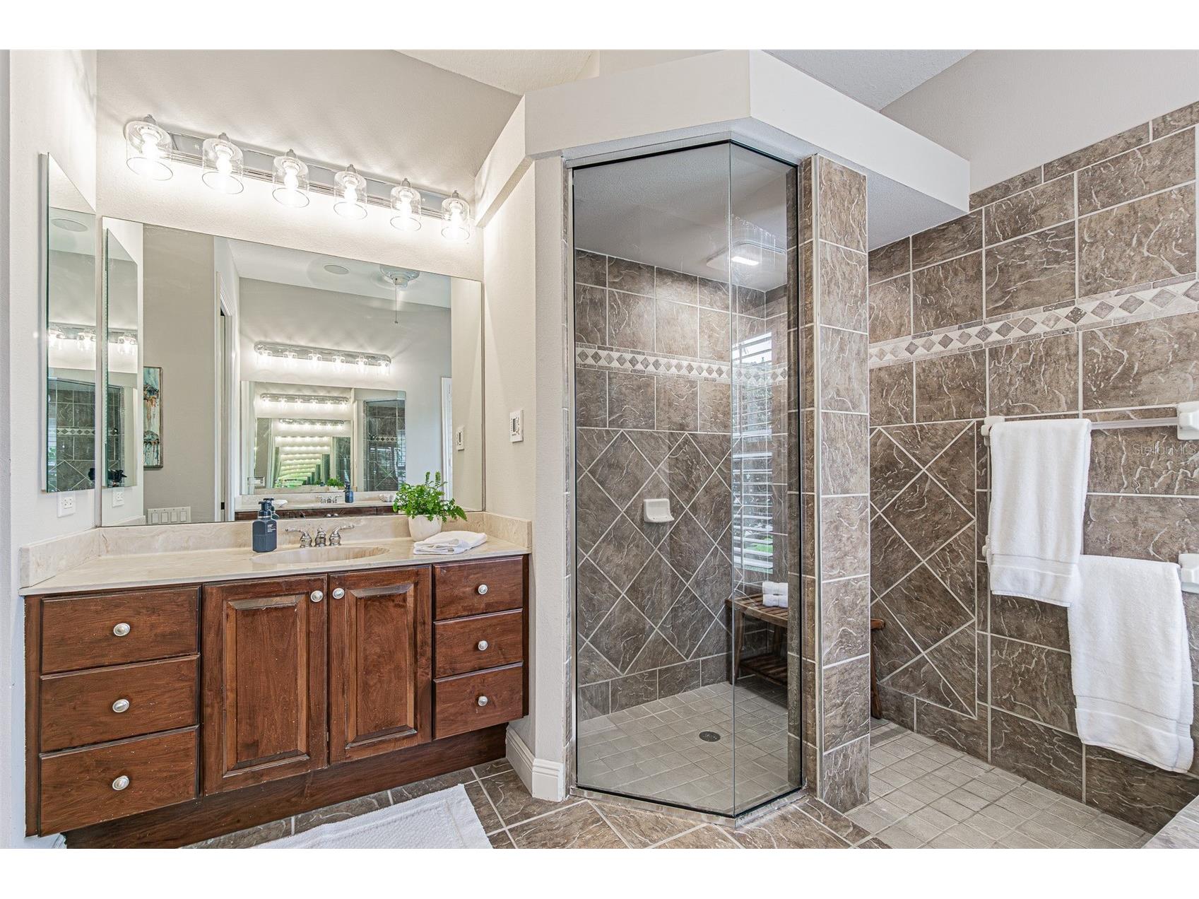 27053 Winged Elm Drive Wesley Chapel FL 33544 TB8494317 image22