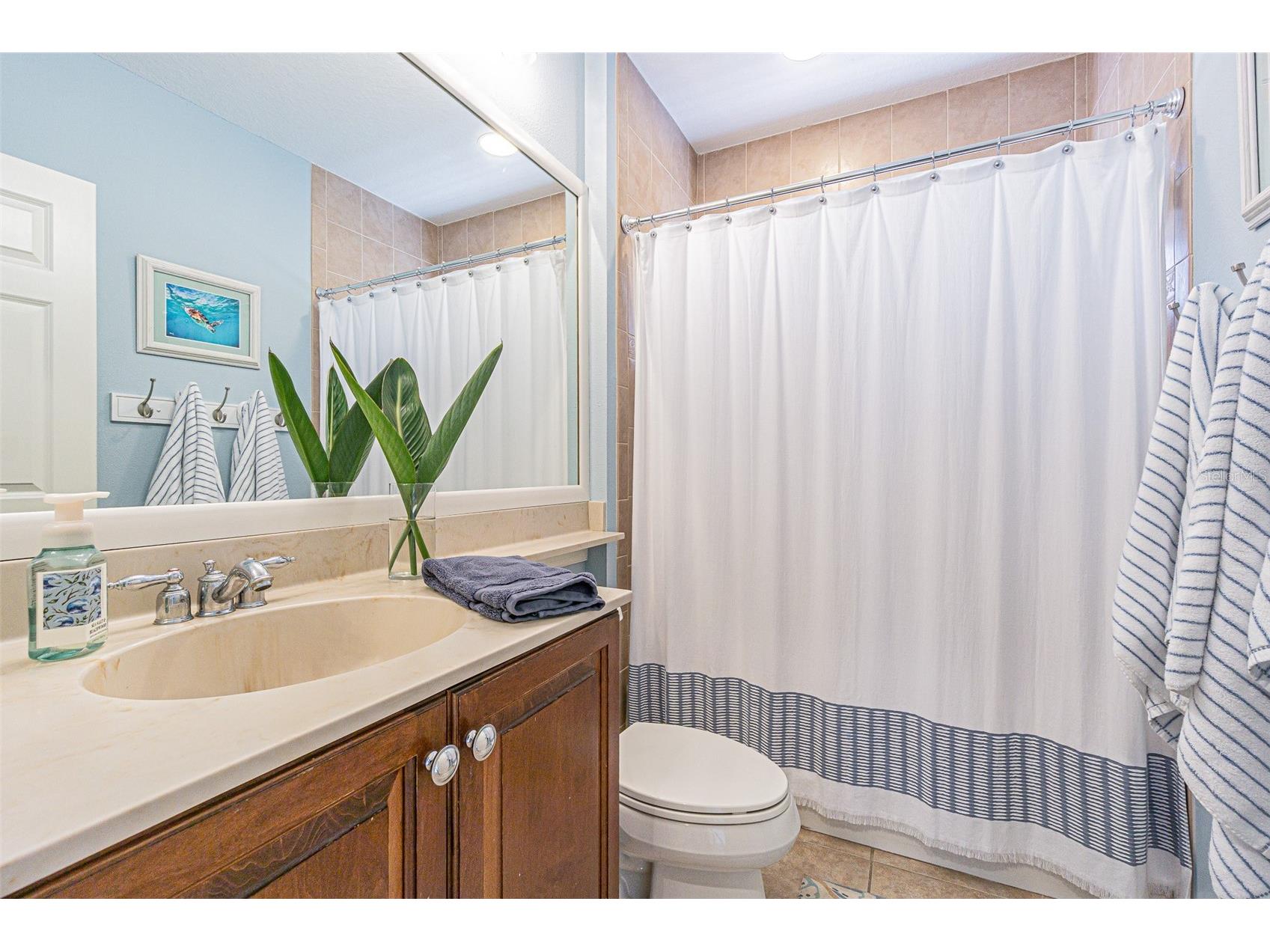 27053 Winged Elm Drive Wesley Chapel FL 33544 TB8494317 image27