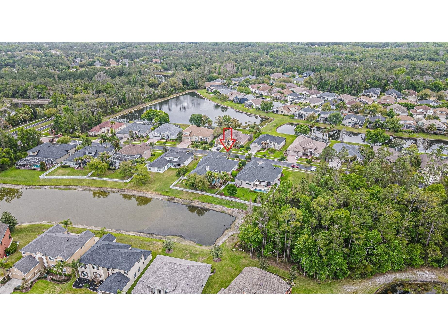 27053 Winged Elm Drive Wesley Chapel FL 33544 TB8494317 image52