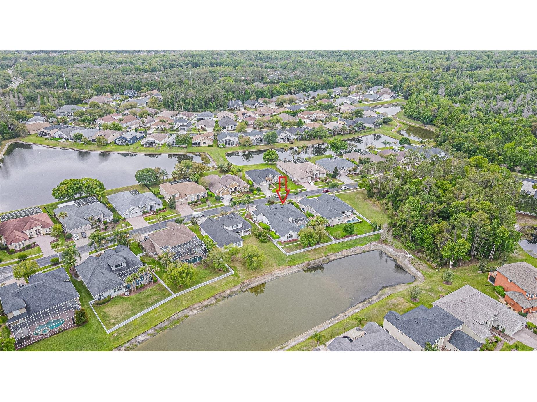 27053 Winged Elm Drive Wesley Chapel FL 33544 TB8494317 image53