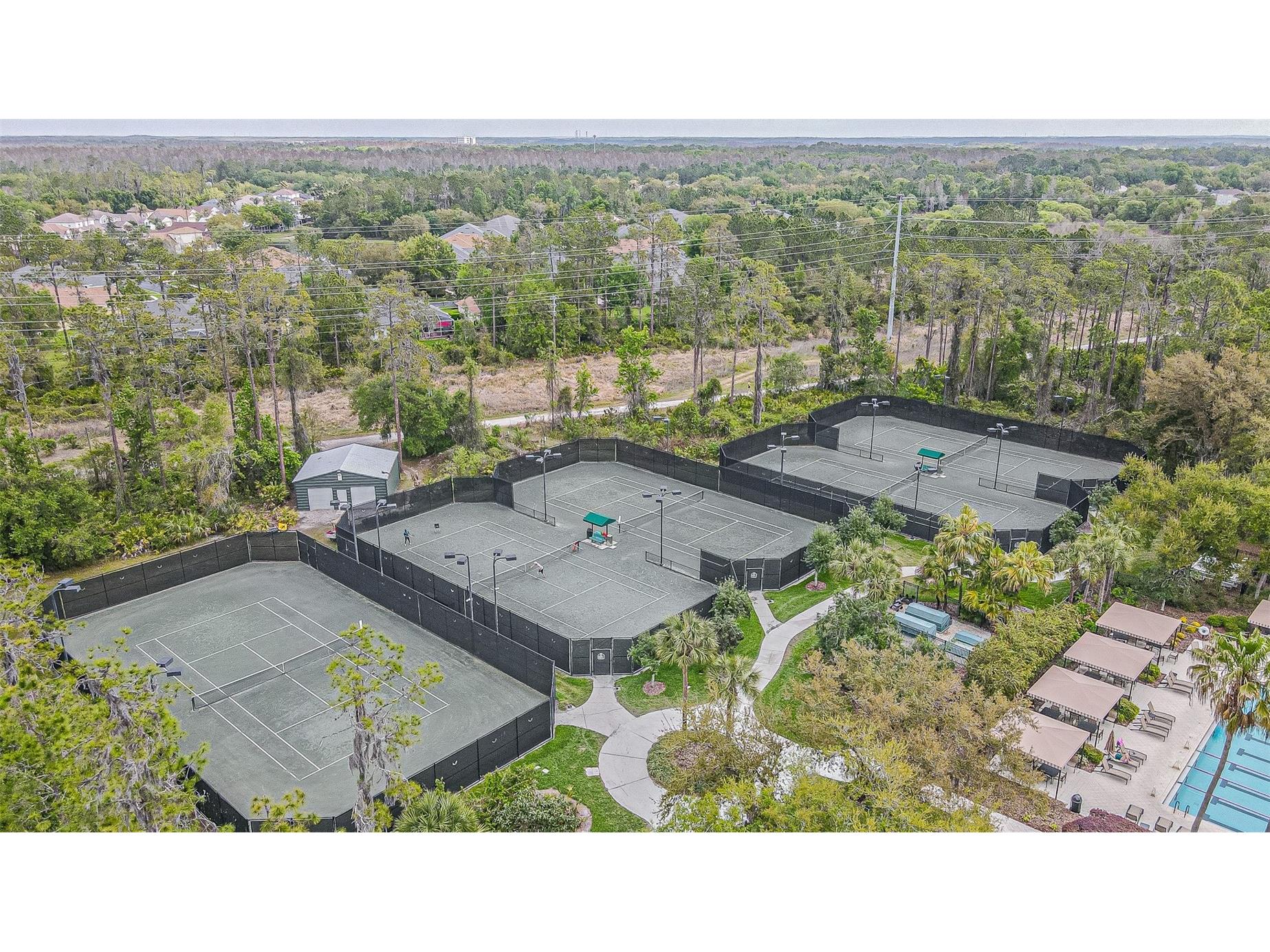 27053 Winged Elm Drive Wesley Chapel FL 33544 TB8494317 image58