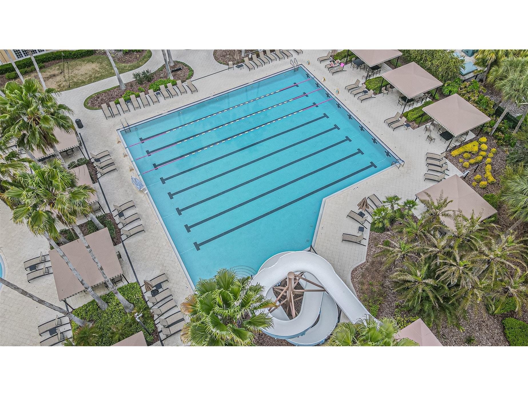 27053 Winged Elm Drive Wesley Chapel FL 33544 TB8494317 image60
