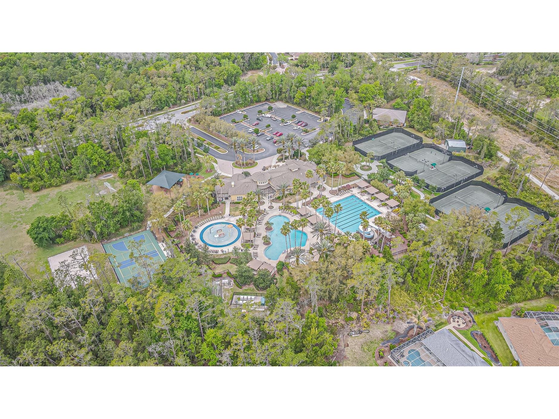 27053 Winged Elm Drive Wesley Chapel FL 33544 TB8494317 image65