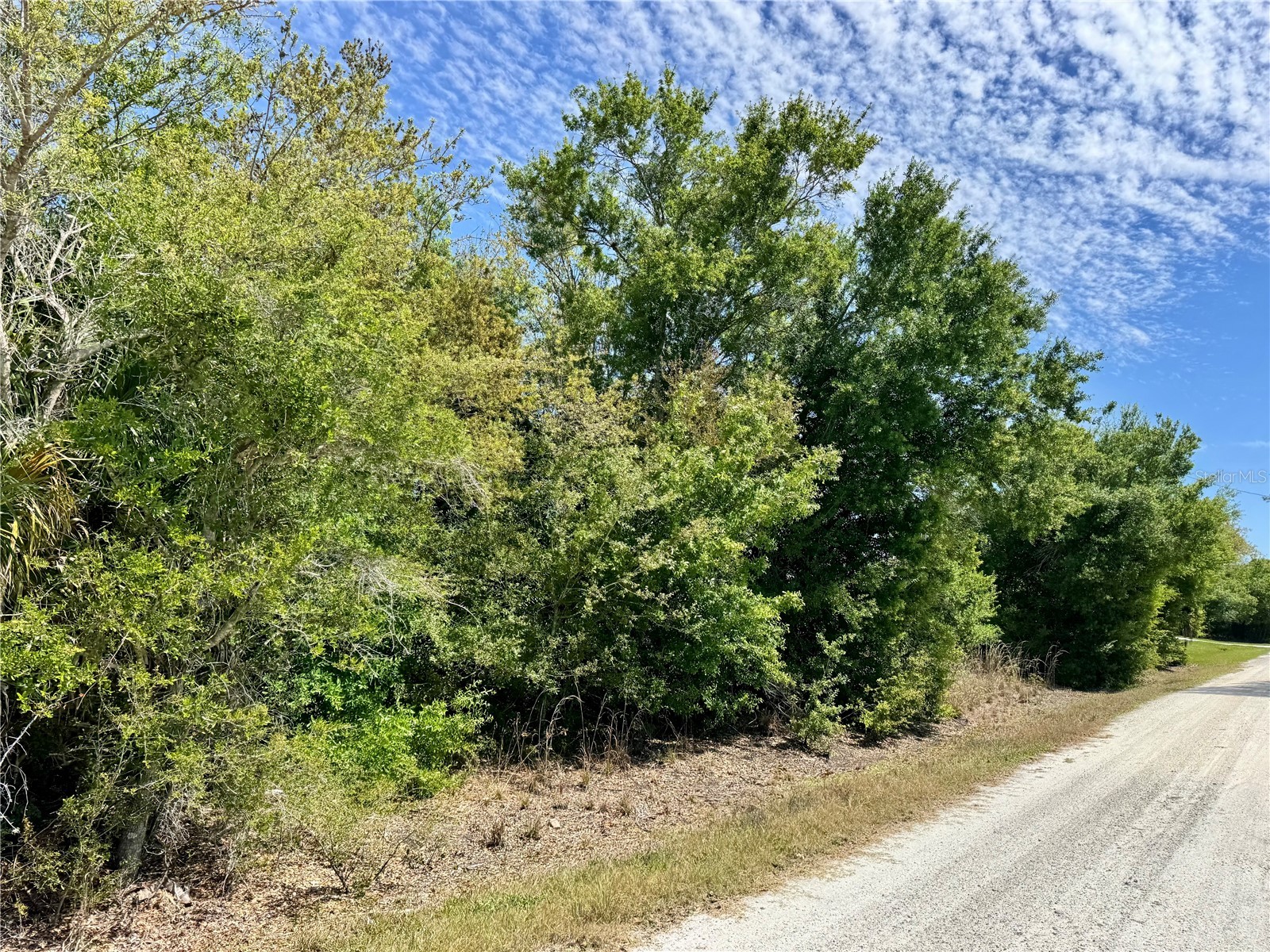 27054 Mingo Drive Punta Gorda FL 33955 C7523854 image2