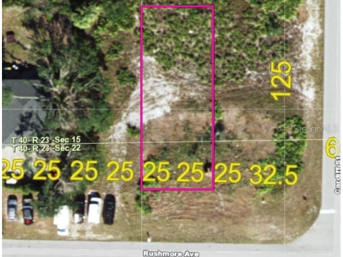 27054 Rushmore Avenue Punta Gorda FL 33983 C7502764 image1