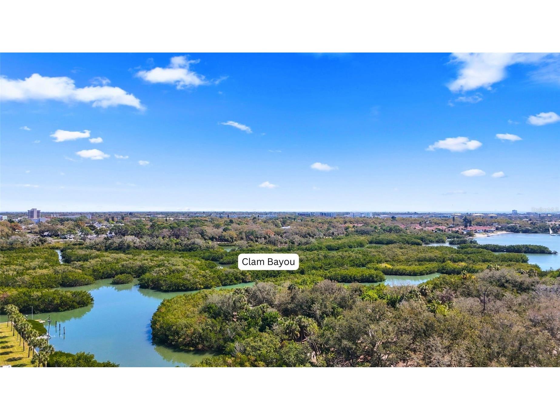 2706 46th Street S Gulfport FL 33711 TB8483076 image11