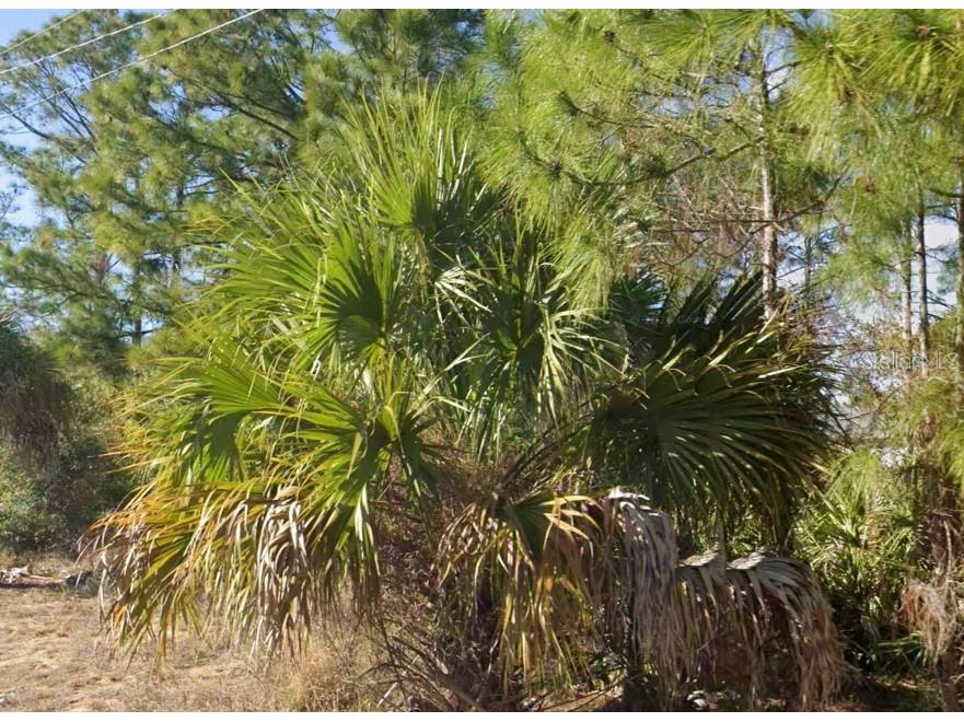 2706 52nd Street W Lehigh Acres FL 33971 TB8517095 image1