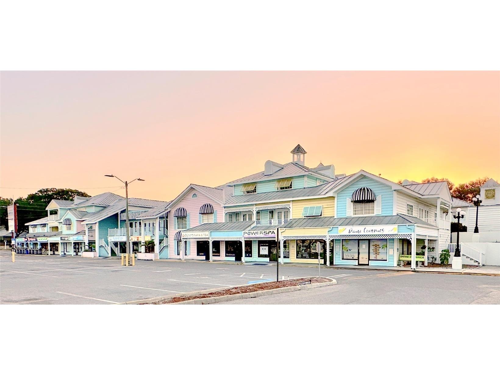 2706 Alt 19 Palm Harbor FL 34683 U8197626 image1