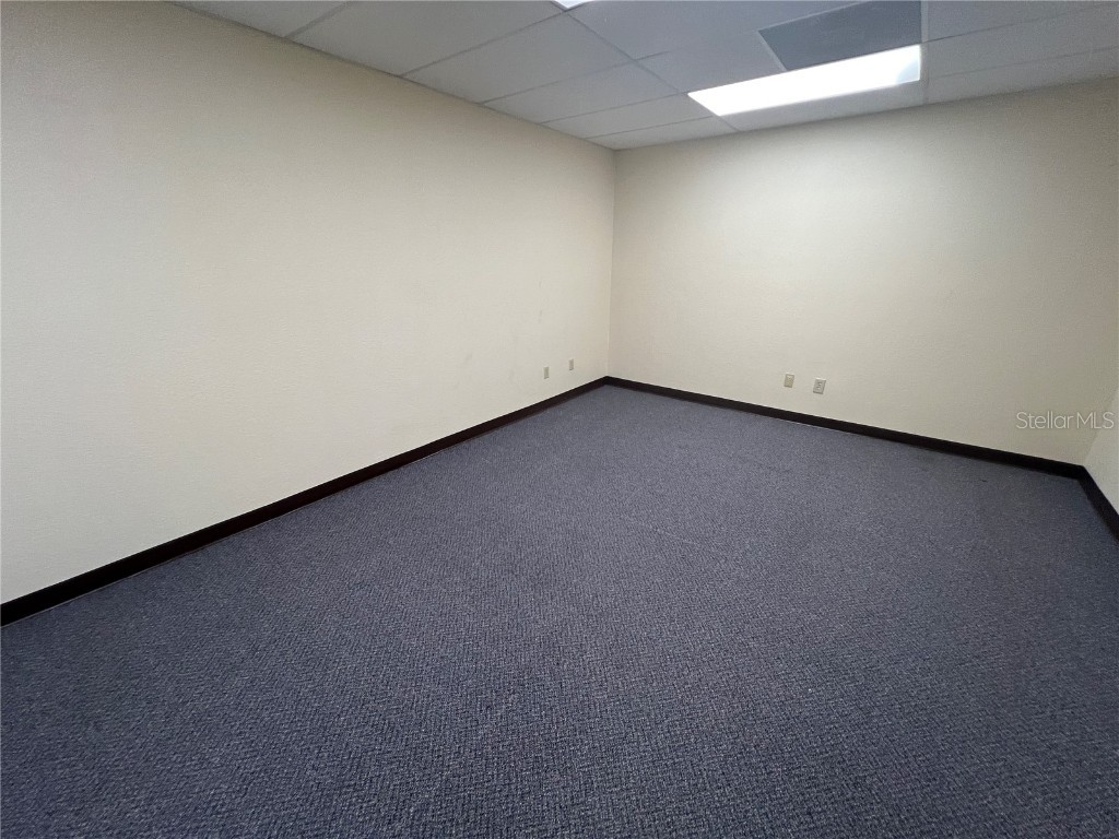 2706 Alt 19 Palm Harbor FL 34683 TB8389235 image28