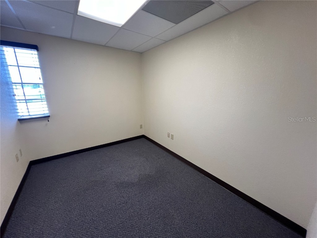 2706 Alt 19 Palm Harbor FL 34683 TB8389235 image30