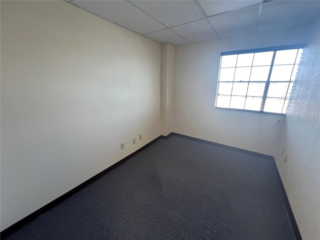 2706 Alt 19 Palm Harbor FL 34683 TB8389235 image31