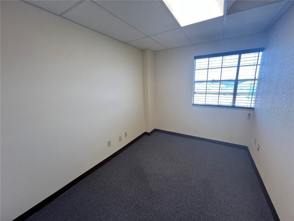 2706 Alt 19 Palm Harbor FL 34683 TB8389235 image32