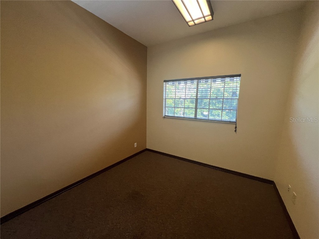 2706 Alt 19 Palm Harbor FL 34683 TB8389235 image39