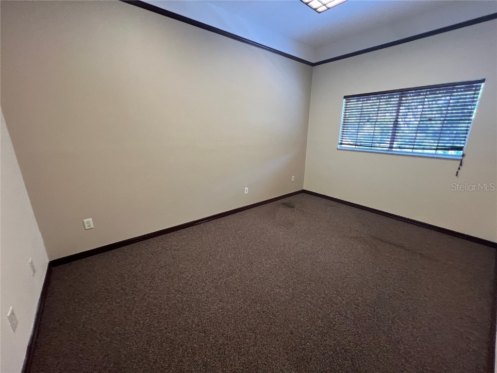 2706 Alt 19 Palm Harbor FL 34683 TB8389235 image40