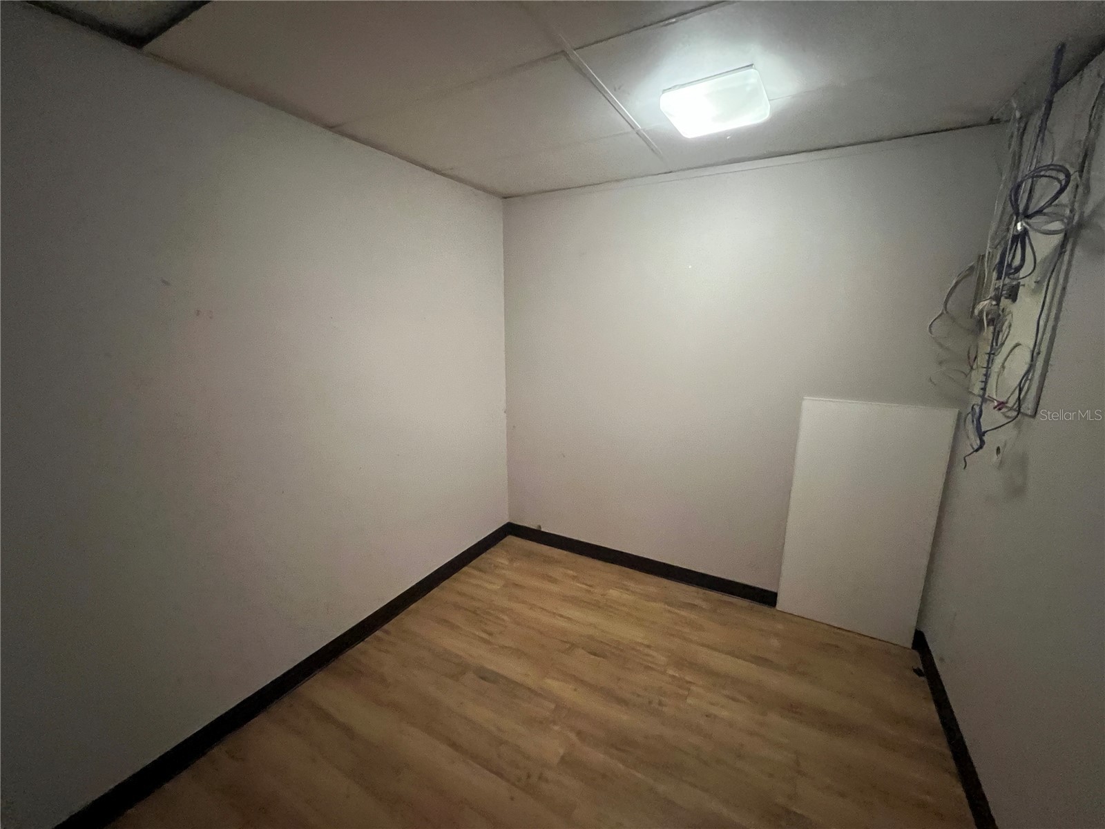 2706 Alt 19 Palm Harbor FL 34683 TB8389235 image52