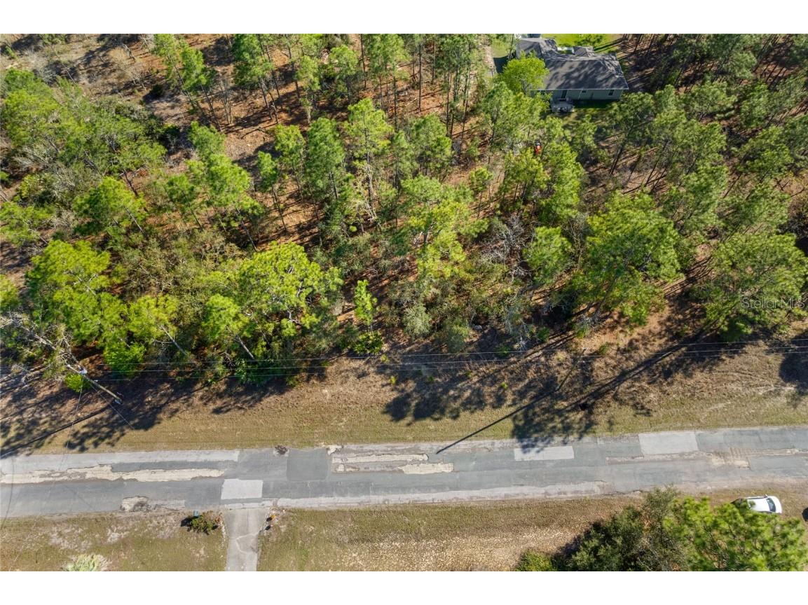 2706 W Arbutus Drive Citrus Springs FL 34433 OM697336 image1