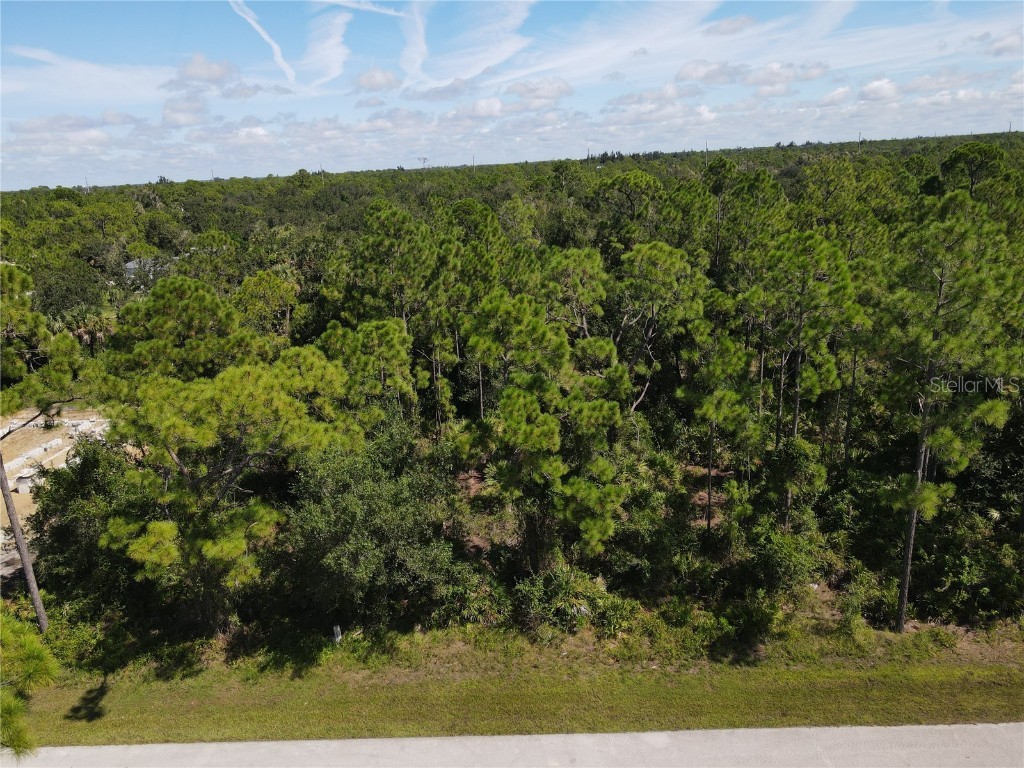 27064 Valencia Drive Punta Gorda FL 33955 C7514260 image10