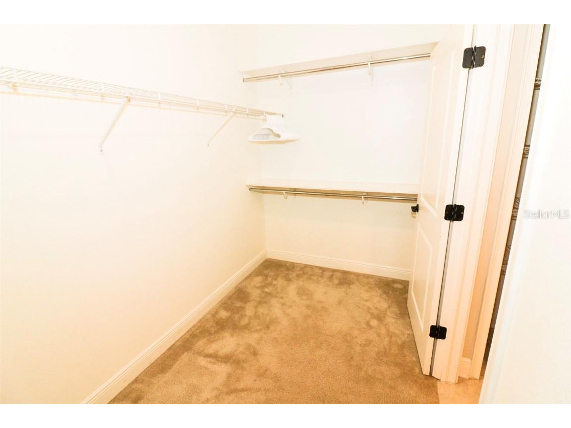 27065 Sora Boulevard Wesley Chapel FL 33544 TB8428766 image11