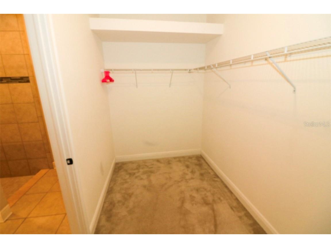 27065 Sora Boulevard Wesley Chapel FL 33544 TB8428766 image12