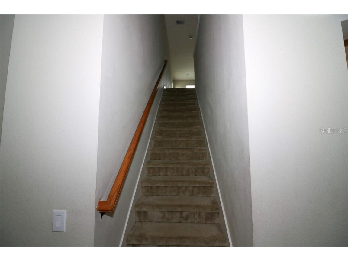 27065 Sora Boulevard Wesley Chapel FL 33544 TB8428766 image29