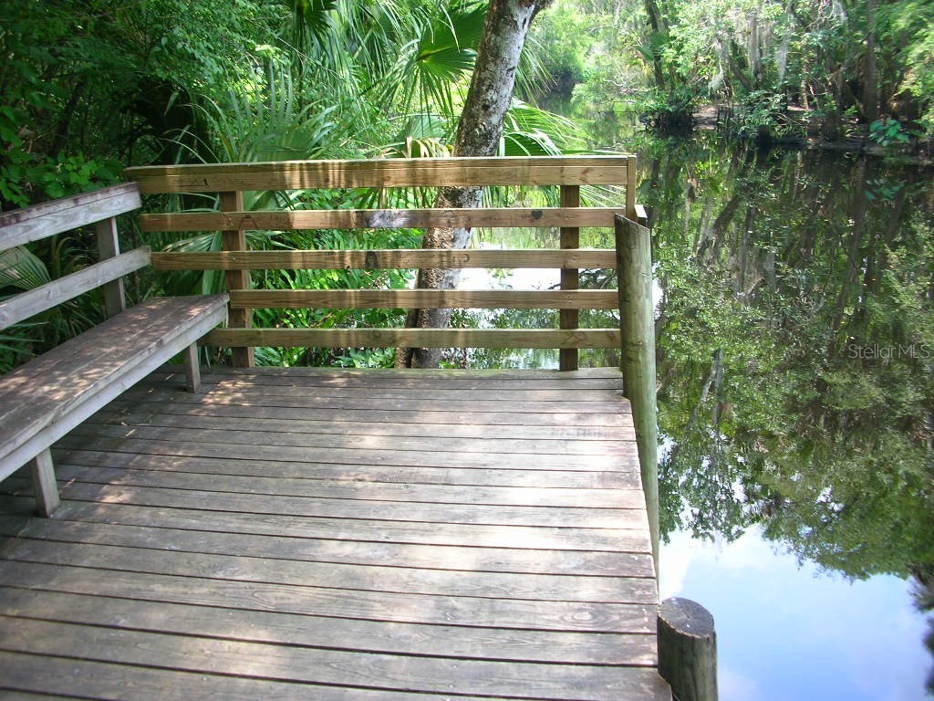 2707 Winterford Drive Port Orange FL 32128 NS1085874 image68