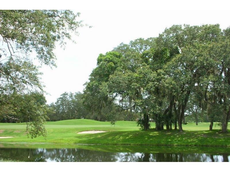 2707 Winterford Drive Port Orange FL 32128 NS1085874 image76