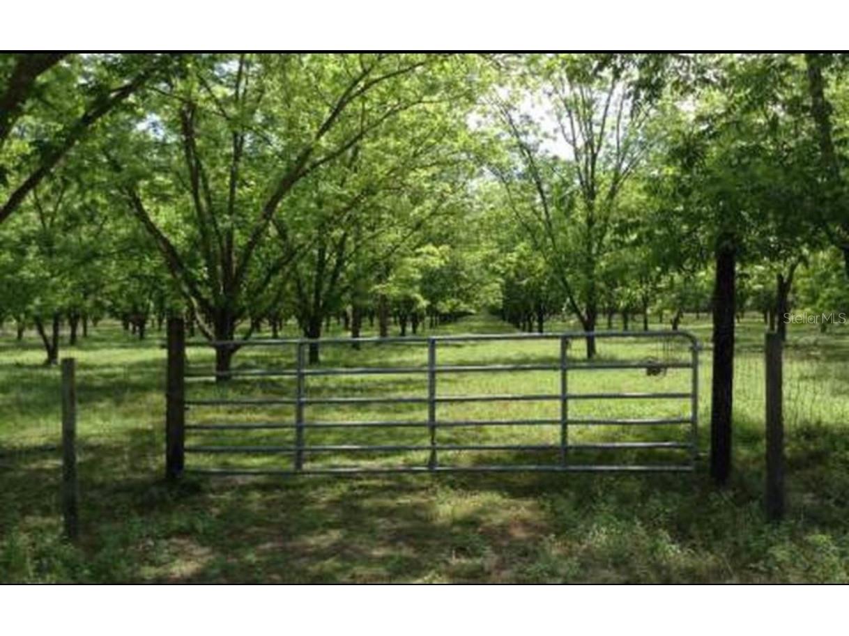 27075 County Road 49 Branford FL 32008 OM652594 image1