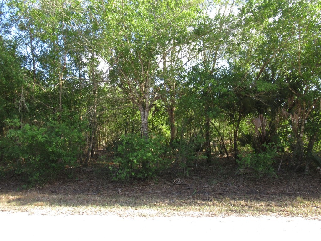 27075 or 27079 Hacienda Drive Punta Gorda FL 33955 C7467515 image1