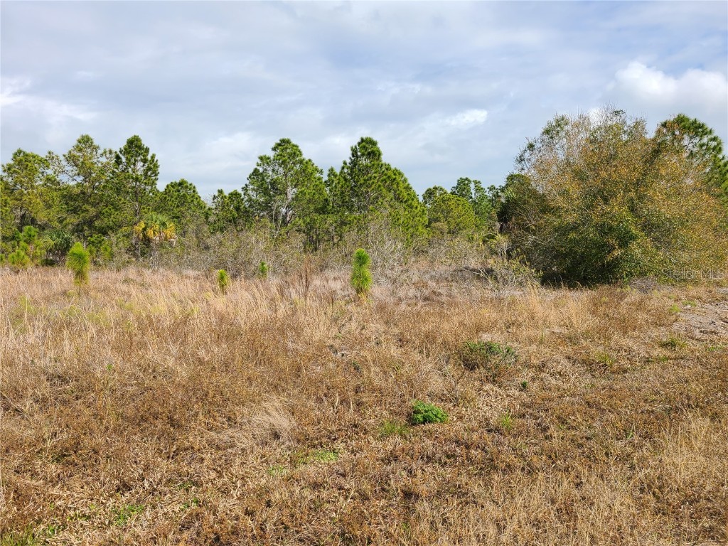 27076 Treadmill Drive Punta Gorda FL 33955 FC294743 image1