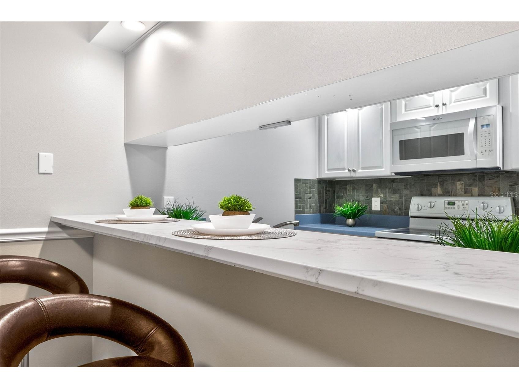 2708 9th Court Palm Harbor FL 34684 TB8472543 image18