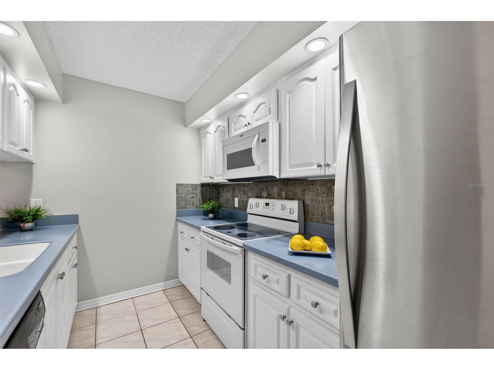 2708 9th Court Palm Harbor FL 34684 TB8472543 image19