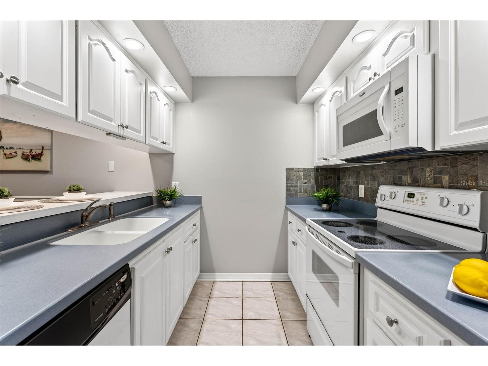 2708 9th Court Palm Harbor FL 34684 TB8472543 image20