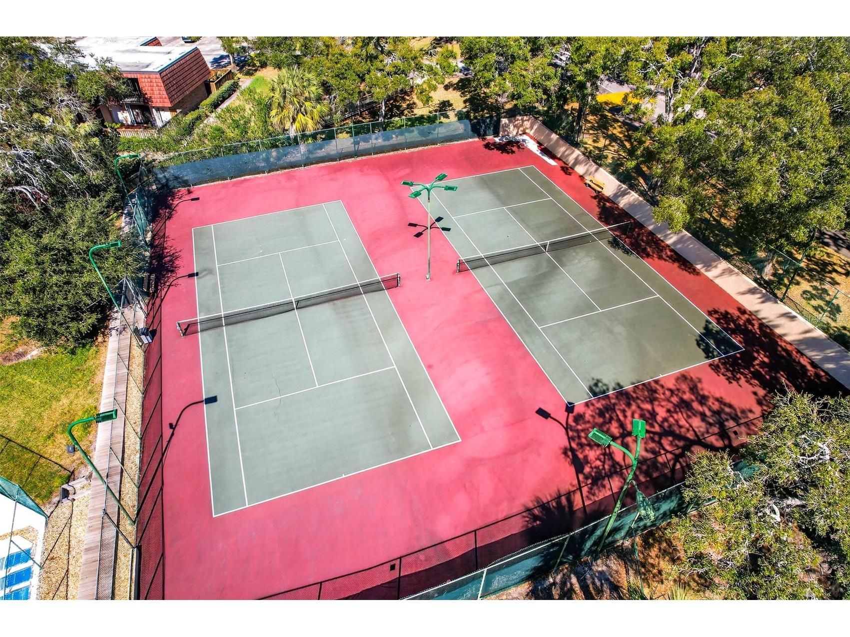 2708 9th Court Palm Harbor FL 34684 TB8472543 image42