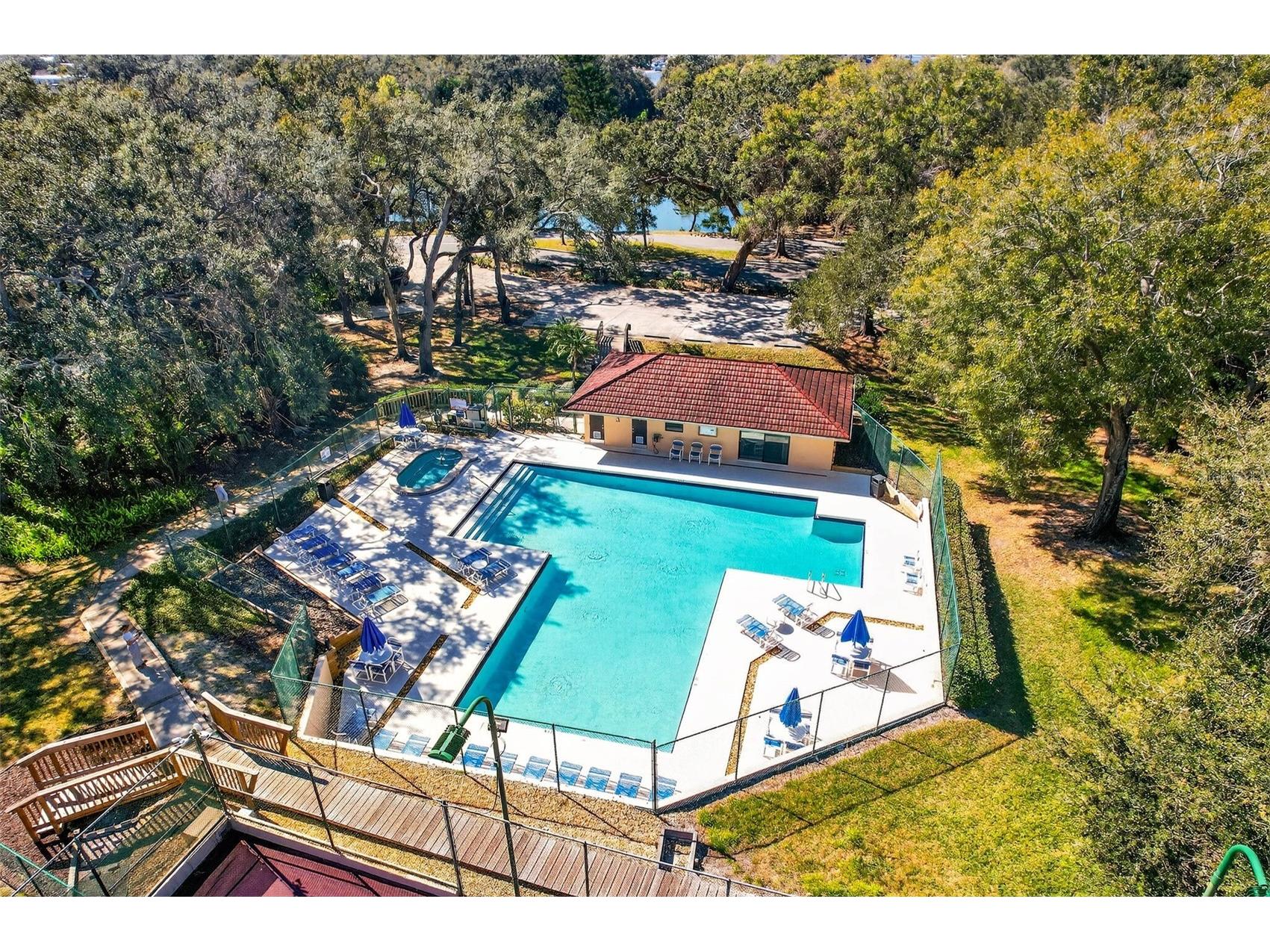 2708 9th Court Palm Harbor FL 34684 TB8472543 image43