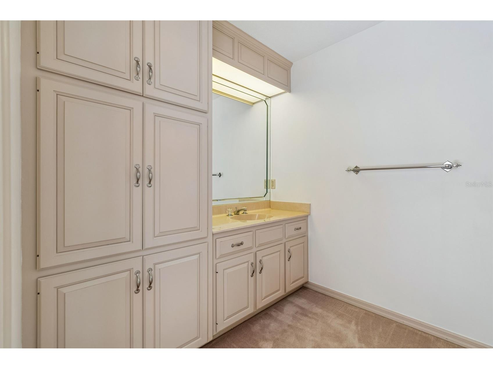 2708 Bell Shoals Road Brandon FL 33511 TB8494012 image43